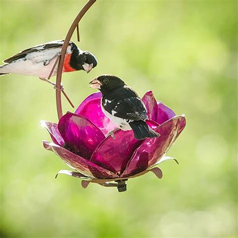 Flower-style hummingbird bird feeder flower hangin... – Grandado