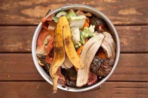 果蔬市场垃圾、餐厨垃圾和食品垃圾如何破碎处理?-洁普智能环保