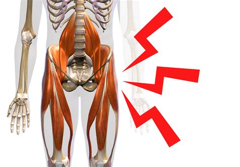 Hip Flexor Location Why Are My Hip Flexors So Tight? | Causes