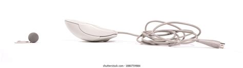 Old Computer Mouse 的图像结果