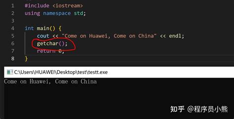 C Using Visual Studio Code 的图像结果
