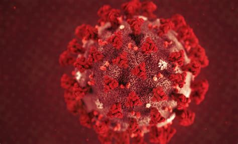 Mumbai Sees Spike Of 6% In Covid 19 Cases; BMC Gearing Up For Possible ...