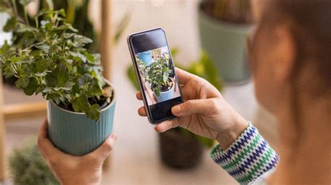 A lifetime subscription to this AI plant identifier app is on sale for ...