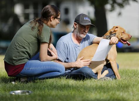 Current Volunteer Needs | Iowa Humane Alliance