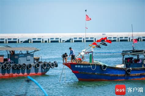 开渔啦！东方507艘渔船出海 开始新一轮耕海牧渔征程_腾讯新闻