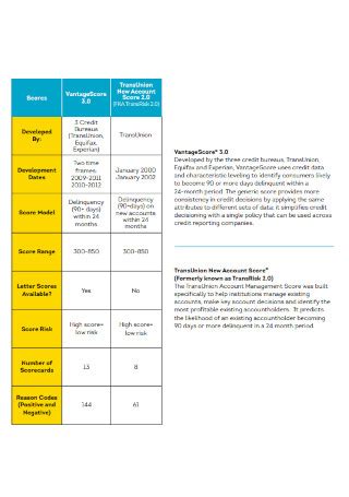 Image result for TransUnion Credit Report