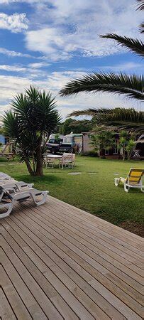 ELEMENTFISH (Esposende) - 2022 What to Know Before You Go