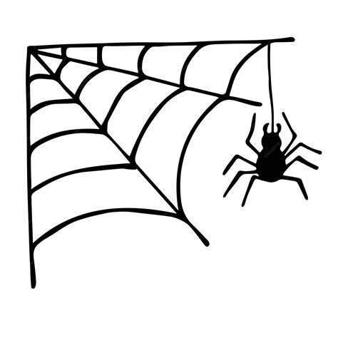 Cute Spider And Web Clipart