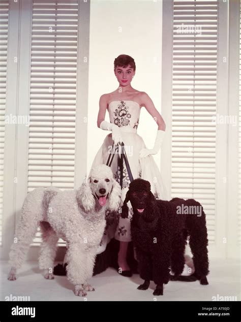 SABRINA 1954 Paramount film with Audrey Hepburn as Sabrina Fairchild in ...
