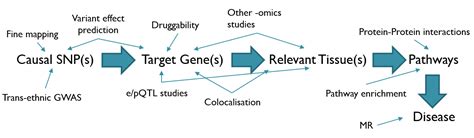 Gwas Microarray 的图像结果