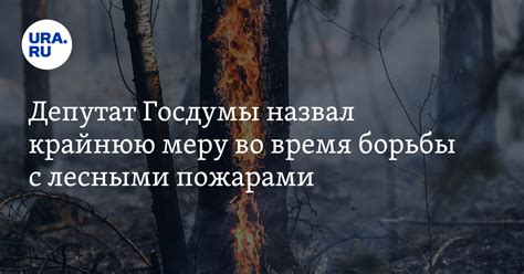 Лесные пожары: когда отключают электричество и эвакуируют людей ...