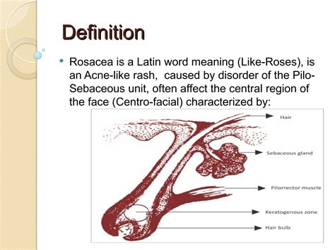 Rosacea is a Latin word meaning (Like-Roses), is an Acne-like rash ...