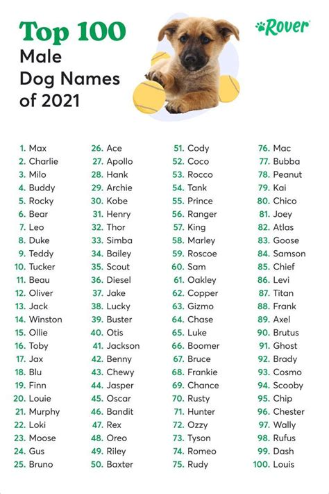 Image result for Most Common Dog Names