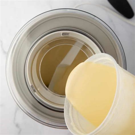 Homemade Ice Cream Recipes Using Machine 的图像结果