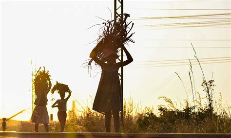 Building the capacity of key Zimbabwean institutions to effectively and sustainably manage ...