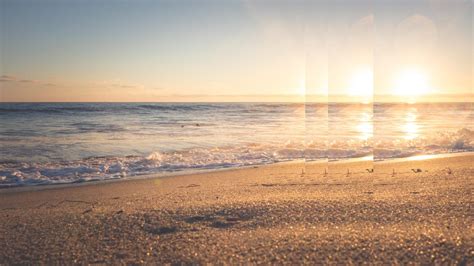 Changes in the Reporting Requirements of the German Foreign Trade and Payments Ordinance ...