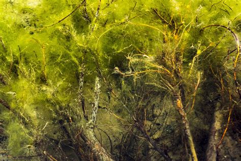 Learning Curve 14 — Houston Center for Photography