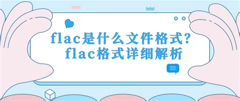 FLAC Tutorial 的图像结果