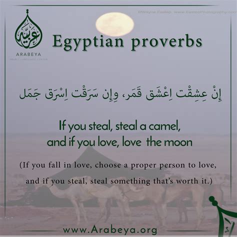 Arabic Egyptian Quotes