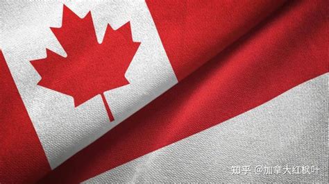2016年加拿大硕士申请八大关键点 ！-最新资讯-瑞潮集团|瑞潮|重庆瑞潮|权威移民，留学中介机构。