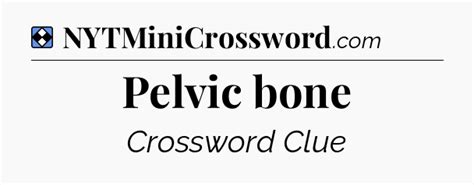 Pelvic bone NYT Crossword Clue