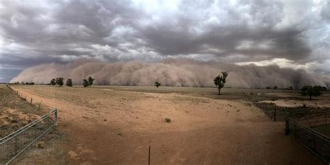澳大利亚新南威尔士州现沙尘暴 移动沙墙由远及近_凤凰网