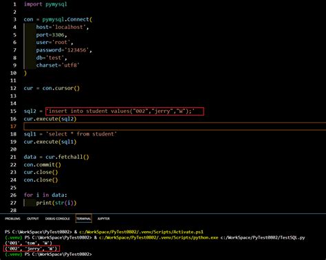 How to Connect MySQL and Python vs Code 的图像结果