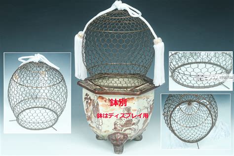 新製品入荷不可能！上手【火屋】展示用 - 東洋蘭専門店 花ごよみ | 春蘭・富貴蘭など通販ならお任せください