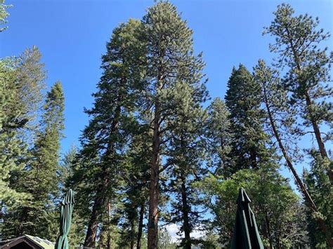 WALLOWA LAKE LODGE (Joseph) - Hotel Reviews & Photos - Tripadvisor