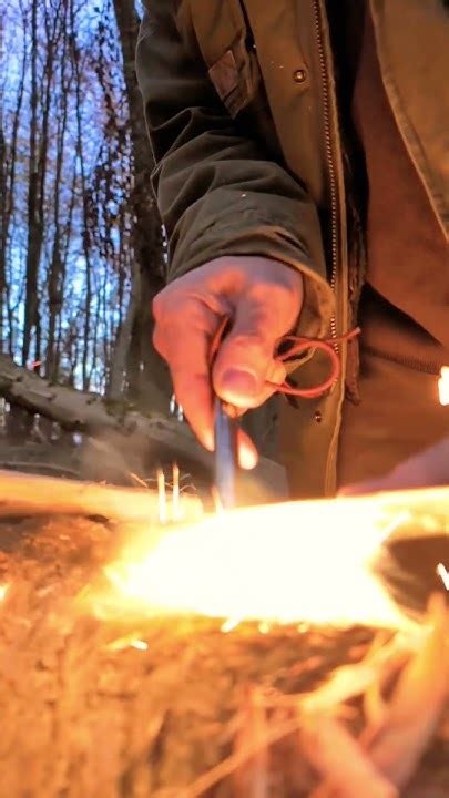 Image result for Apprentice Programs