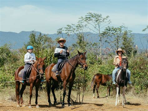 MANG DEN HORSE FARM (2026) All You Need to Know BEFORE You Go (with ...