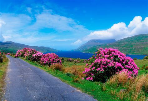 Beautiful Places In Ireland 12 Best Places To Visit In Ireland