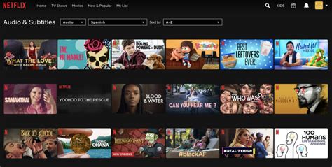 Image result for Netflix Learning Language How to Log In