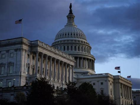 Who's running for US president? See a rundown of the 2024 candidates ...