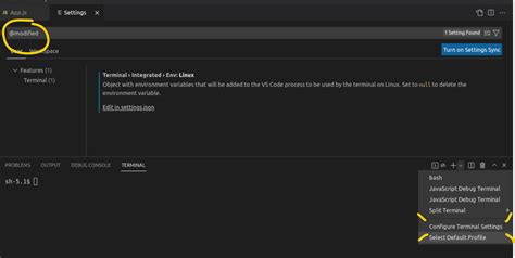 Image result for Linux Visual Studio Code Terminal Highlight Path Branch