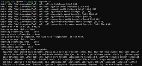 Image result for Kali Linux RDP