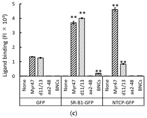 Binding of Hepatitis B Virus Pre-S1 Domain-Derived Synthetic ...