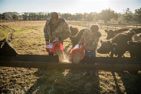 TRACTOR SUPPLY CO. - 149 S Virginia Ave, Tifton GA - Hours, Directions, Reviews - Loc8NearMe