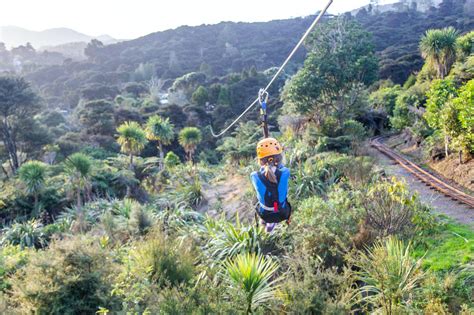 Things to do in The Coromandel | New Zealand | Hauraki Coromandel GOOD FOR YOUR SOUL