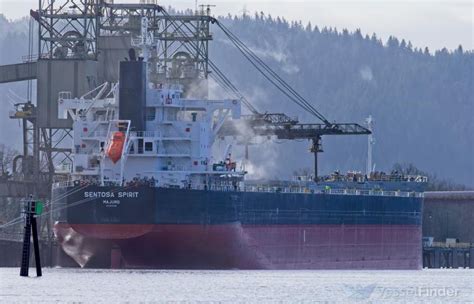 SENTOSA SPIRIT, Bulk Carrier - Details and current position - IMO ...
