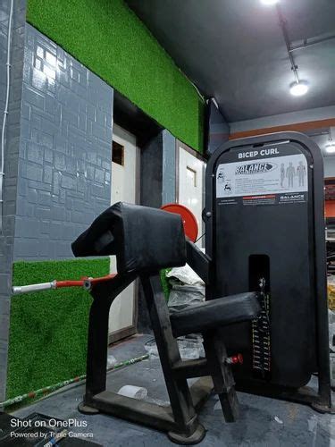 Image result for Arm Curl Machine