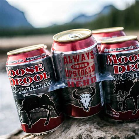 25 Canned Beers for Every Type of Outdoor Fun