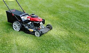 Image result for Lowe's Lawn Mower