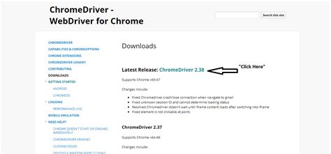 How to Use Selenium to Do Test Automation with Chrome Driver 的图像结果