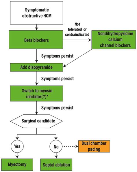 Emerging Medical Treatment for Hypertrophic Cardiomyopathy