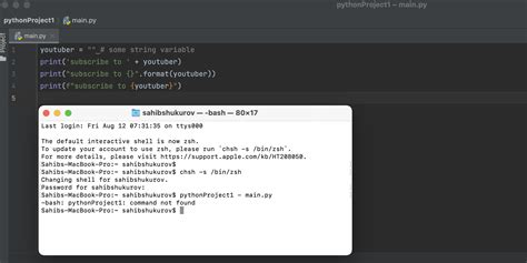 Image result for Terminal Error in Python