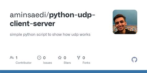 Image result for UDP Client Server Application Python