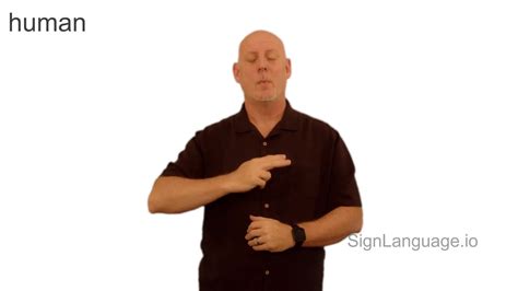 Human Sign Language 的图像结果