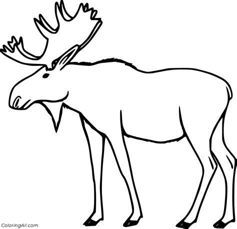 Moose Coloring Pages (53 Free Printables) - ColoringAll