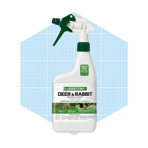 7 Best Rabbit Repellents of 2025 (Natural, Dog-Safe & More)